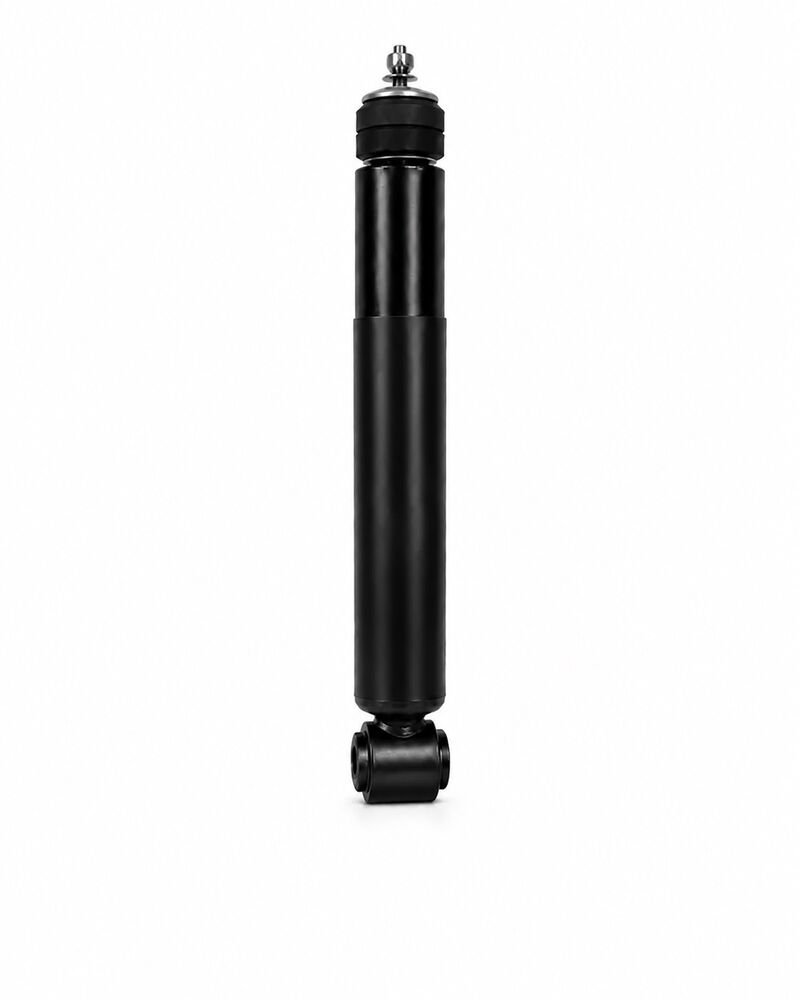 Monroe Rear element for Maruti Suzuki Ciaz facelift (2018)