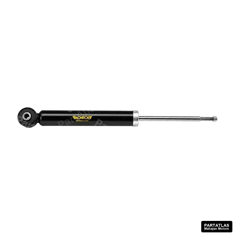 Monroe Rear element for Chevrolet Aveo (2006)