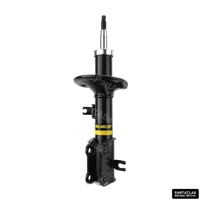 Monroe Front element for Chevrolet Aveo (2006)